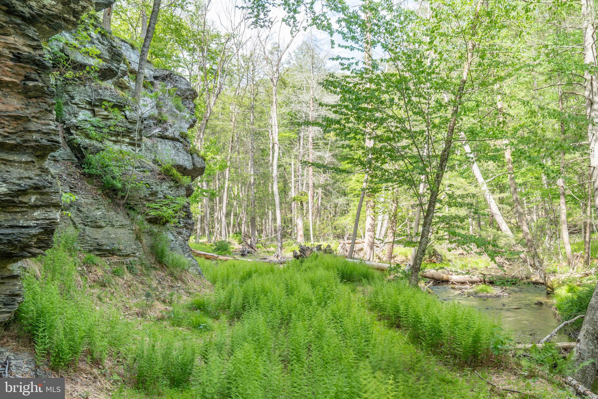 0 Cummins Hill Road Matamoras, PA 18336 - Photo 67 of 116