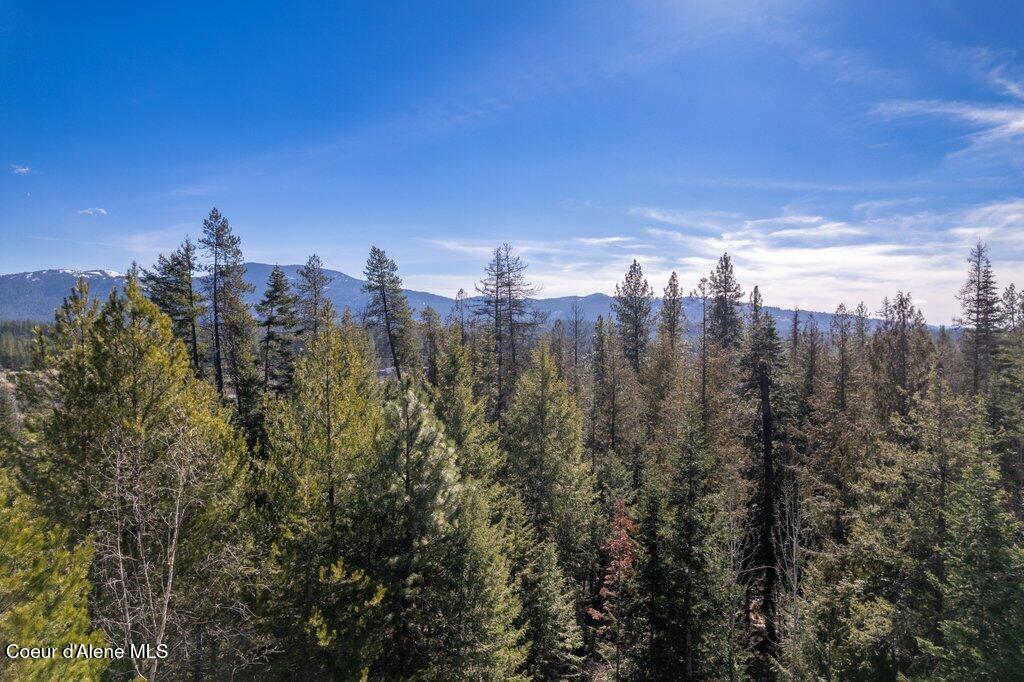 Nka Milky Way Sagle, ID 83860 - Photo 17 of 21 018-NKAThistleCreekLane312MilkyWayforGPS