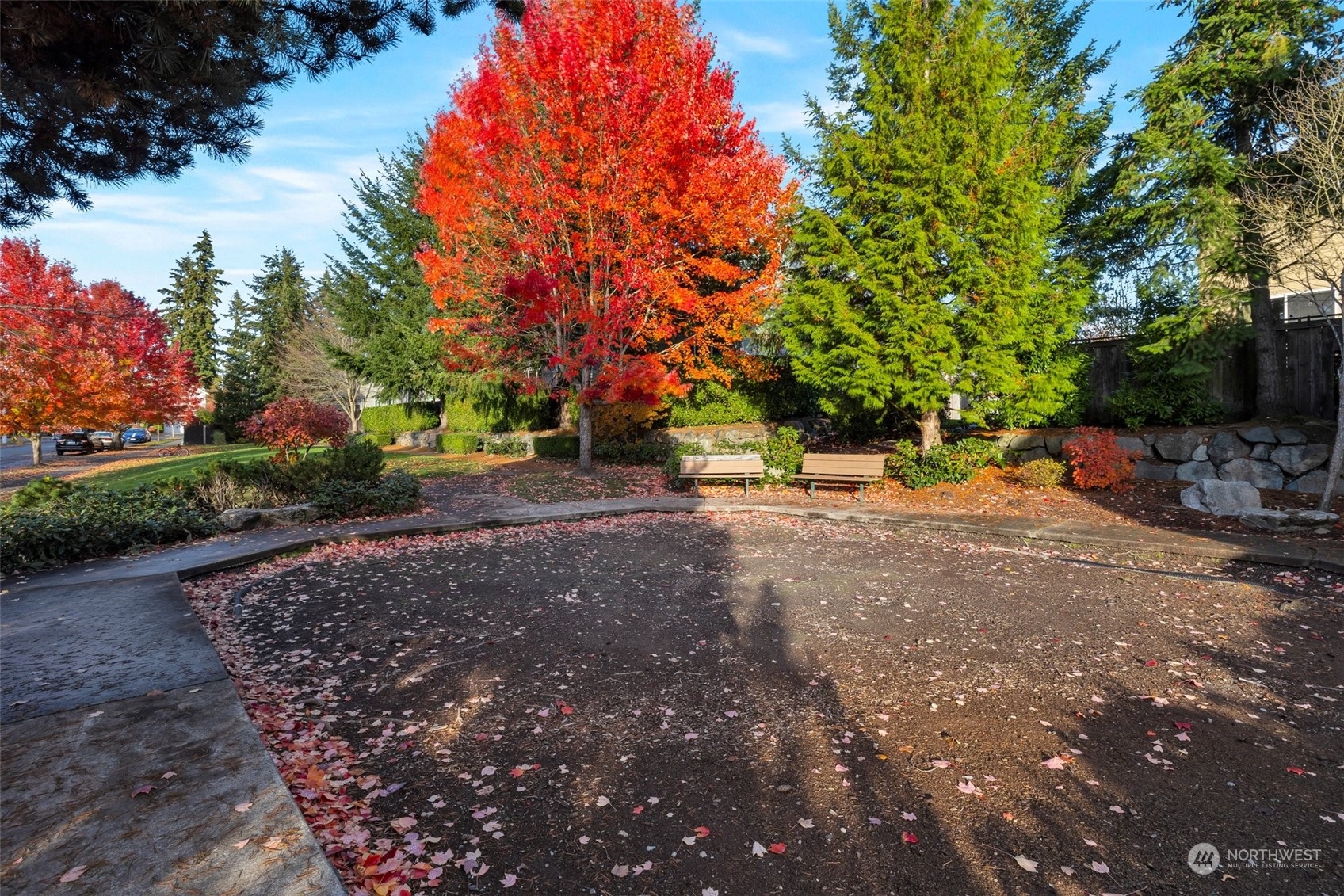 16603 42nd Avenue Southeast Bothell, WA 98012 - Photo 28 of 35 a view of street with trees and playing ground