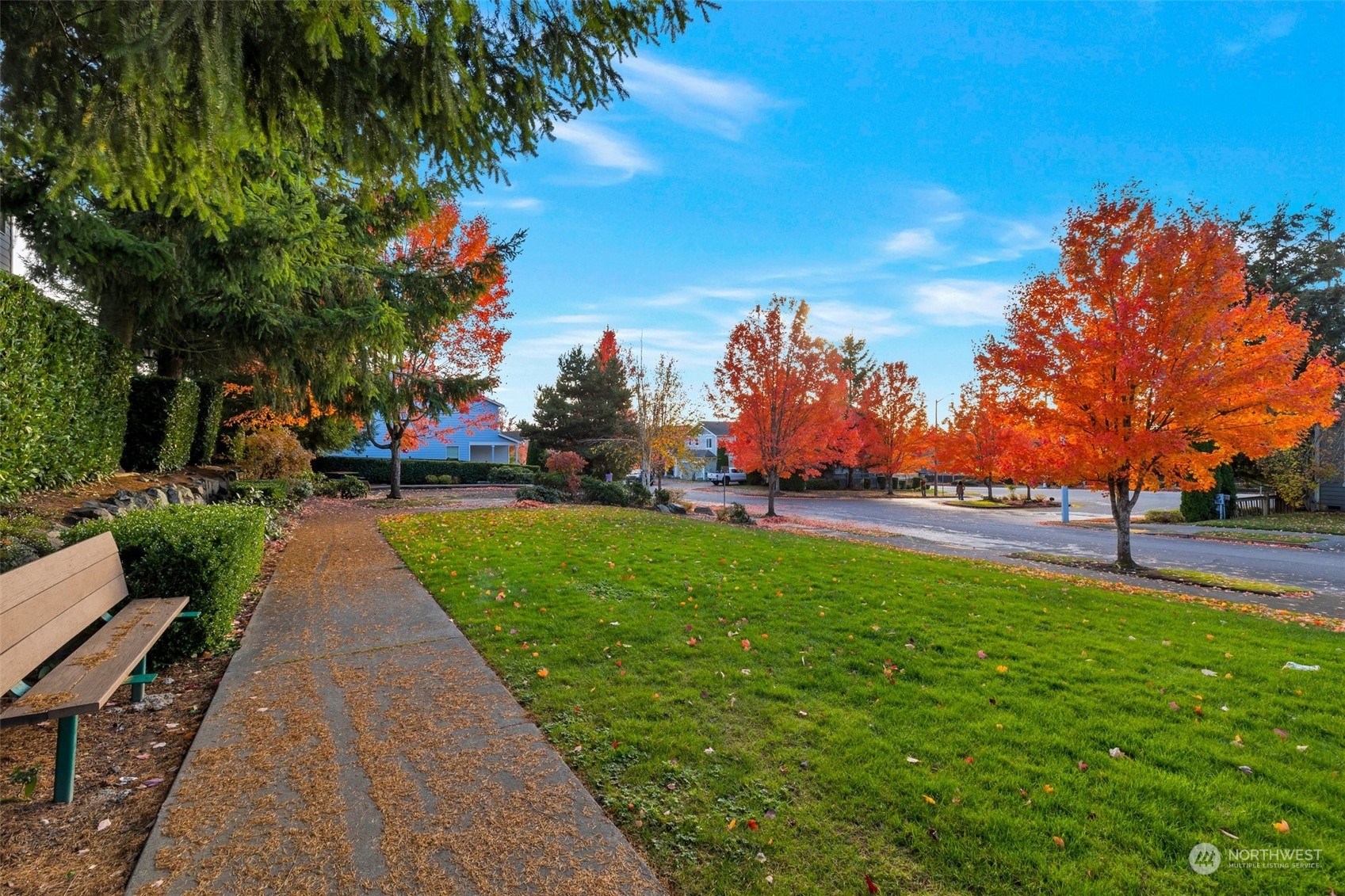 16603 42nd Avenue Southeast Bothell, WA 98012 - Photo 29 of 35 a view of a park with plants and trees