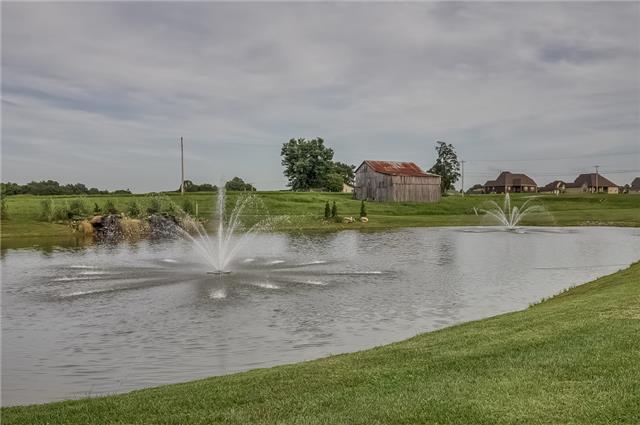5400 Betts Road Greenbrier, TN 37073 - Photo 20 of 20 3/4 of an acre scenic pond with waterfall and fountains. Enjoy the serene sound of water......