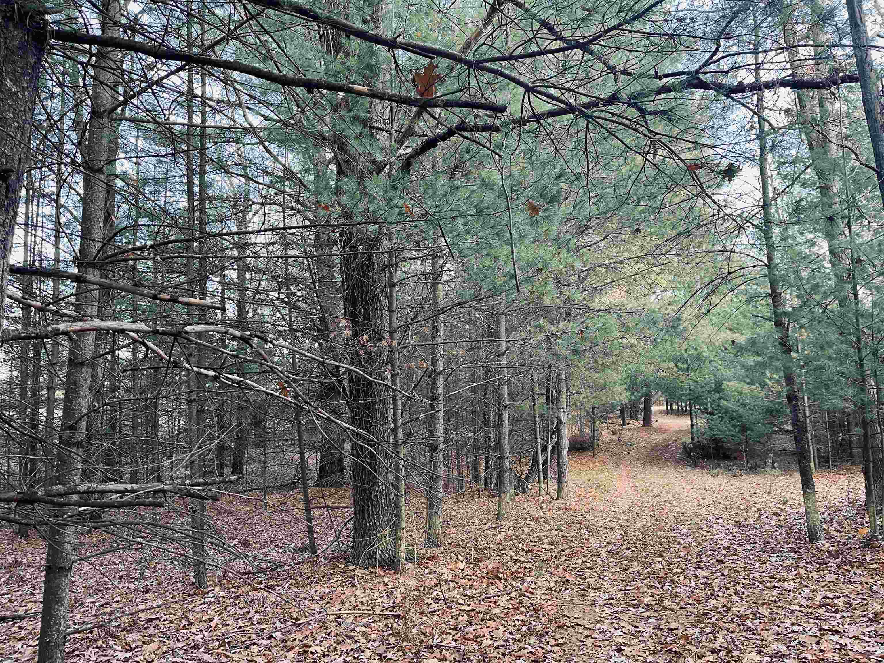 0 Bunker Hill Road Williamsburg, MI 49690 - Photo 8 of 13