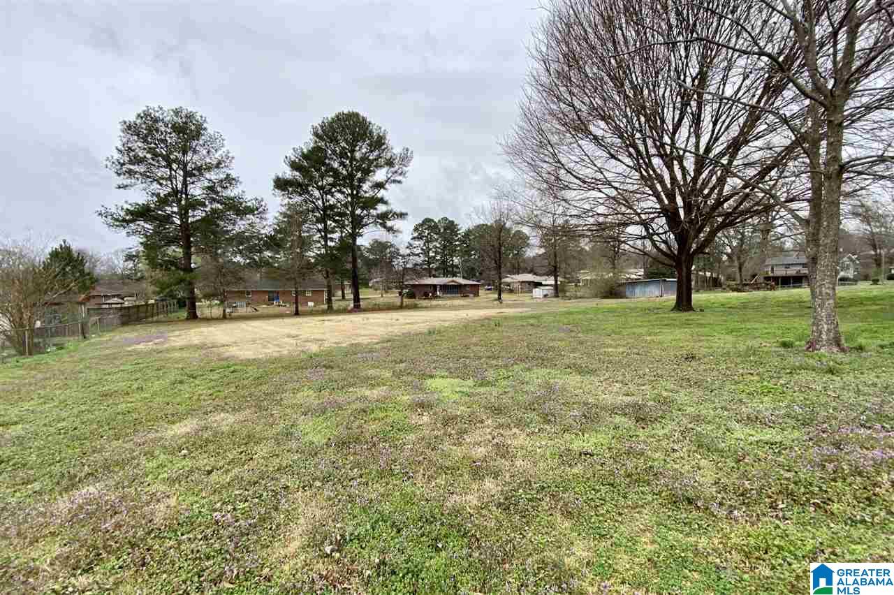 1103 Alexandria Road Weaver, AL 36277 - Photo 32 of 50