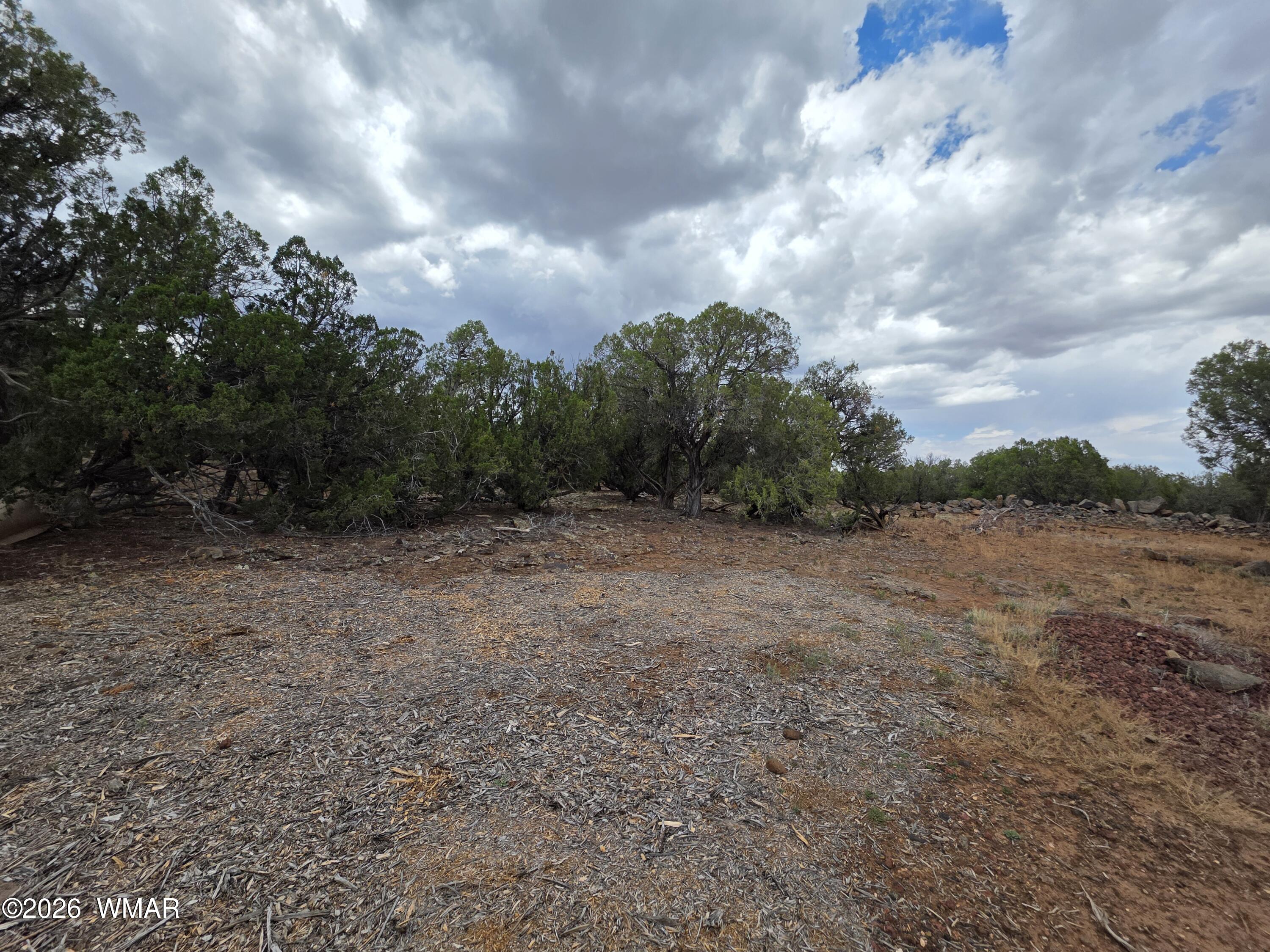 2075 Parker Ranch Road Show Low, AZ 85901 - Photo 8 of 29