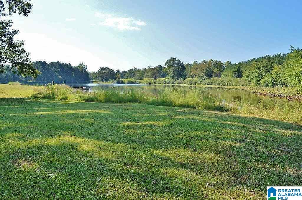 565 Luker Lake Road Pell City, AL 35128 - Photo 6 of 50