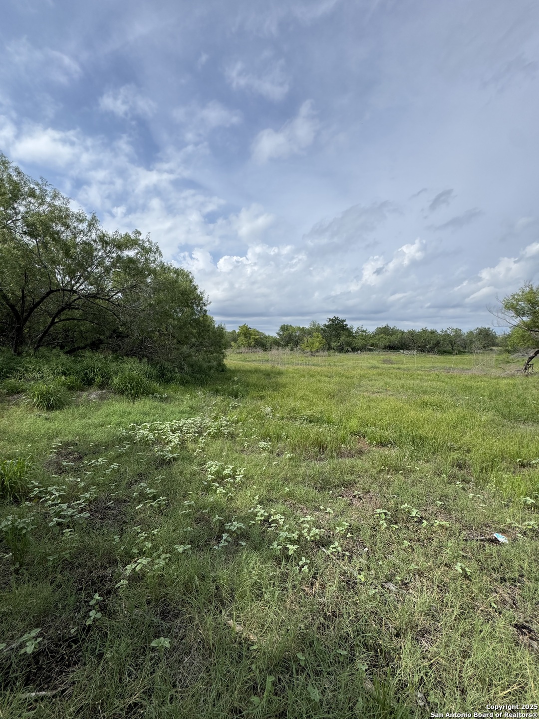 Tbd East Gates Valley Road Poteet, TX 78065 - Photo 4 of 12