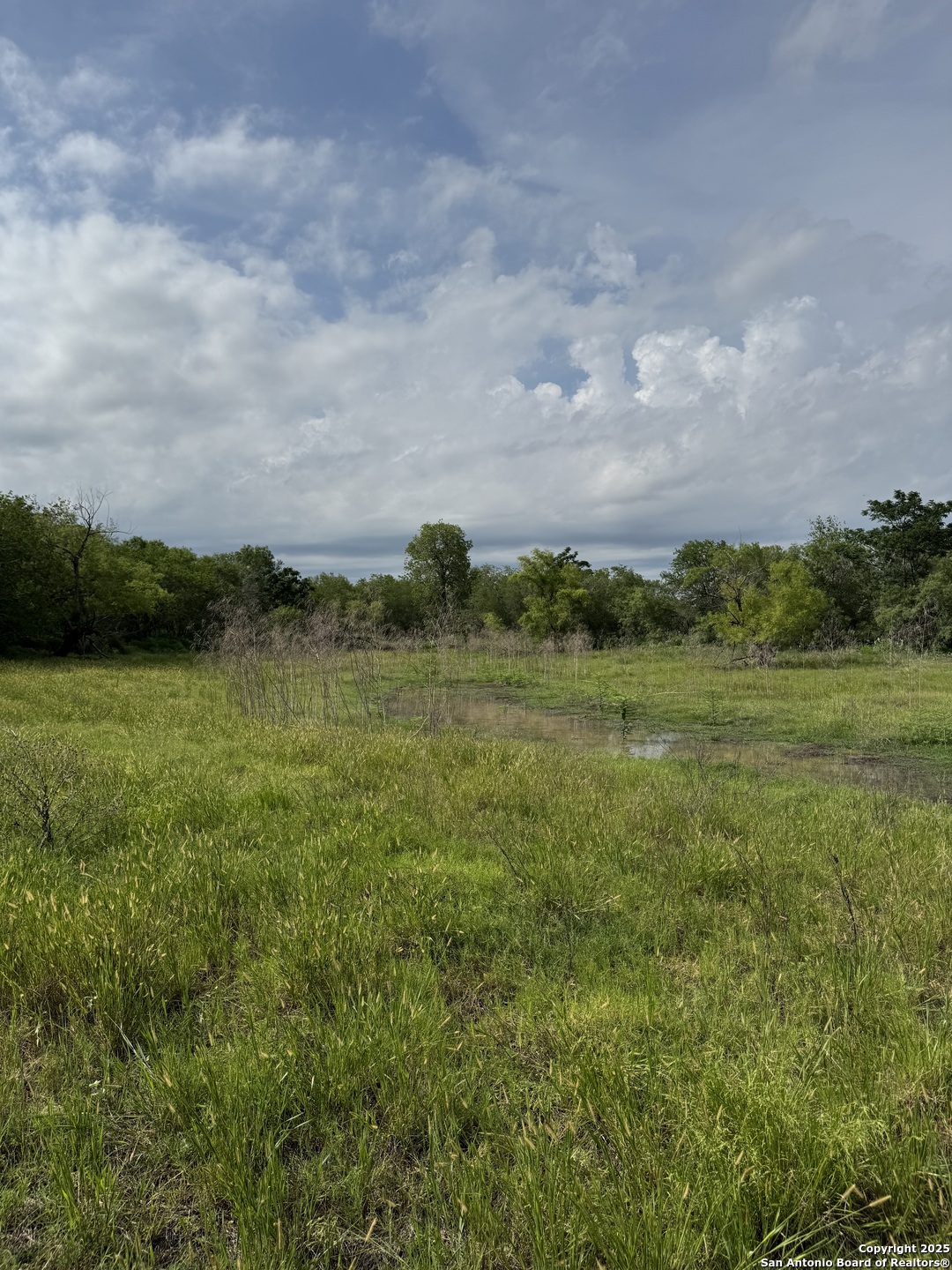 Tbd East Gates Valley Road Poteet, TX 78065 - Photo 5 of 12