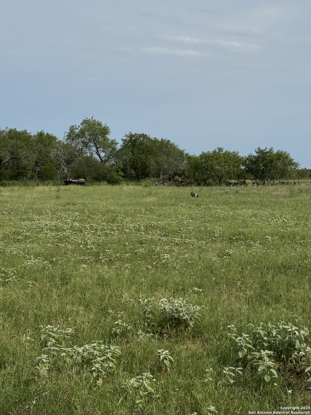 Tbd East Gates Valley Road Poteet, TX 78065 - Photo 9 of 12
