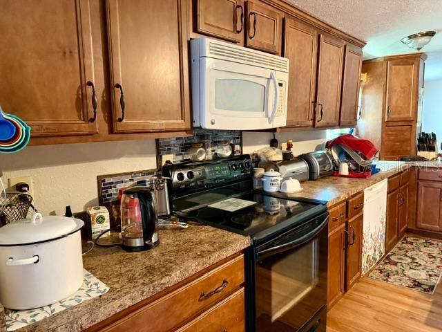 11340 Southwest 28th Way Webster, FL 33597 - Photo 5 of 34