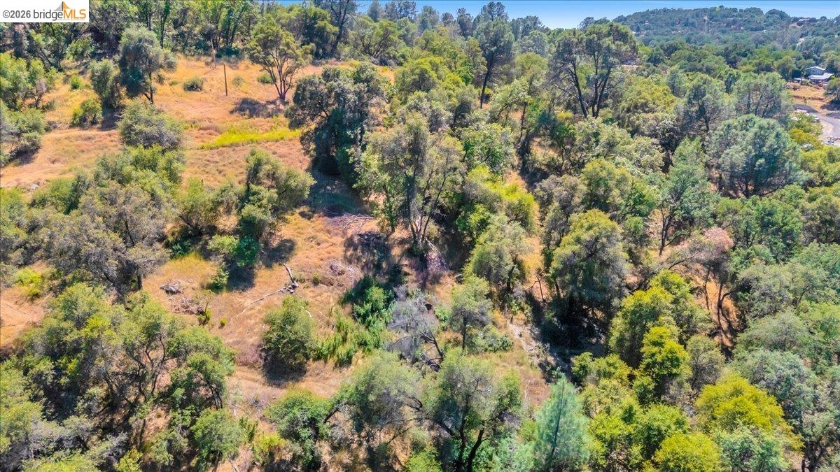 14275 Tuolumne Road Sonora, CA 95370 - Photo 11 of 22