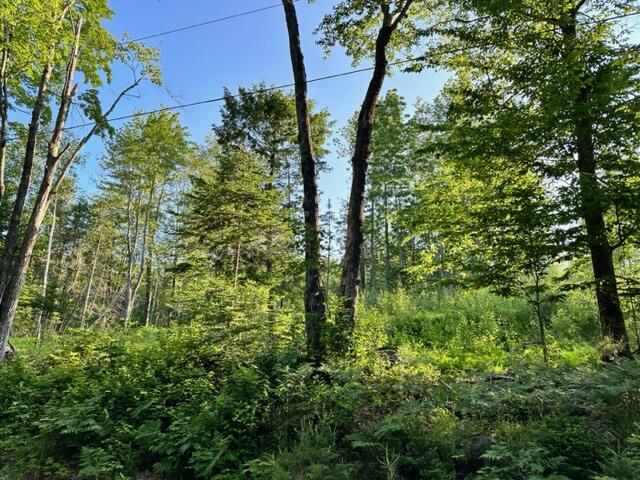 819 B Middle Road New Portland, ME 04961 - Photo 2 of 28 land 2