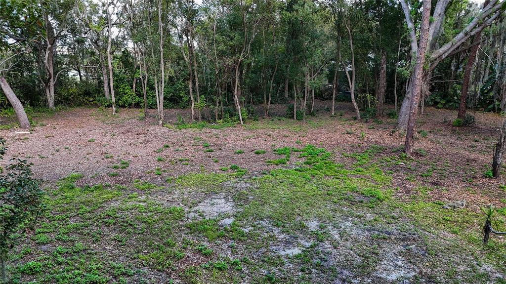 12300 Parrish Cemetary Road Parrish, FL 34219 - Photo 70 of 74 Gallery Image 70