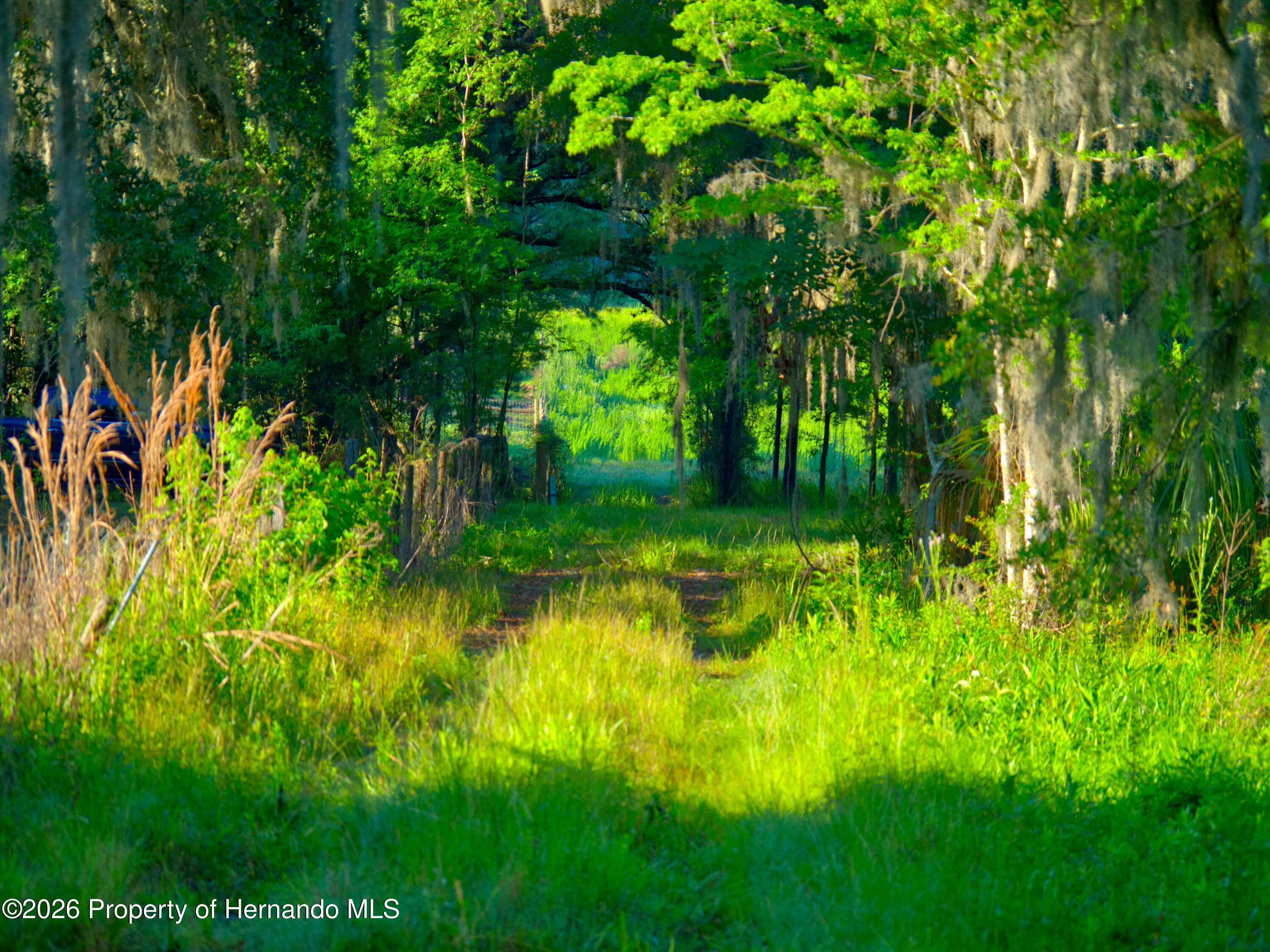 3267 Neff Lk Road Brooksville, FL 34602 - Photo 36 of 82