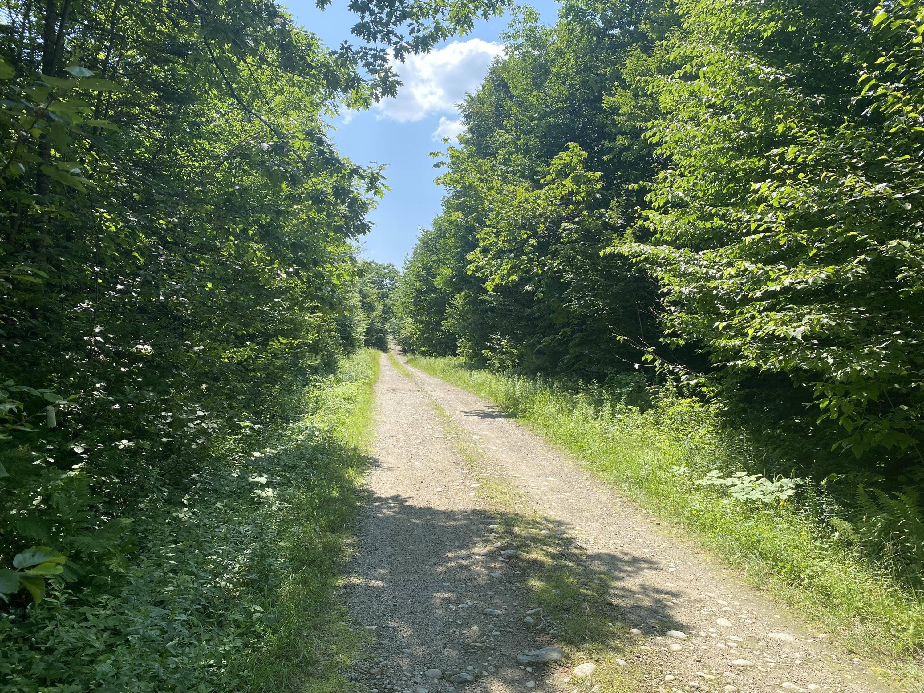 19 Hawk Lane Rumford, ME 04276 - Photo 25 of 27 IMG_6707