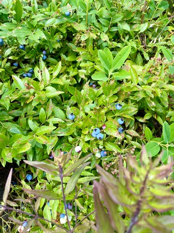 $135,000 | 19 Hawk Lane, Rumford, ME 04276