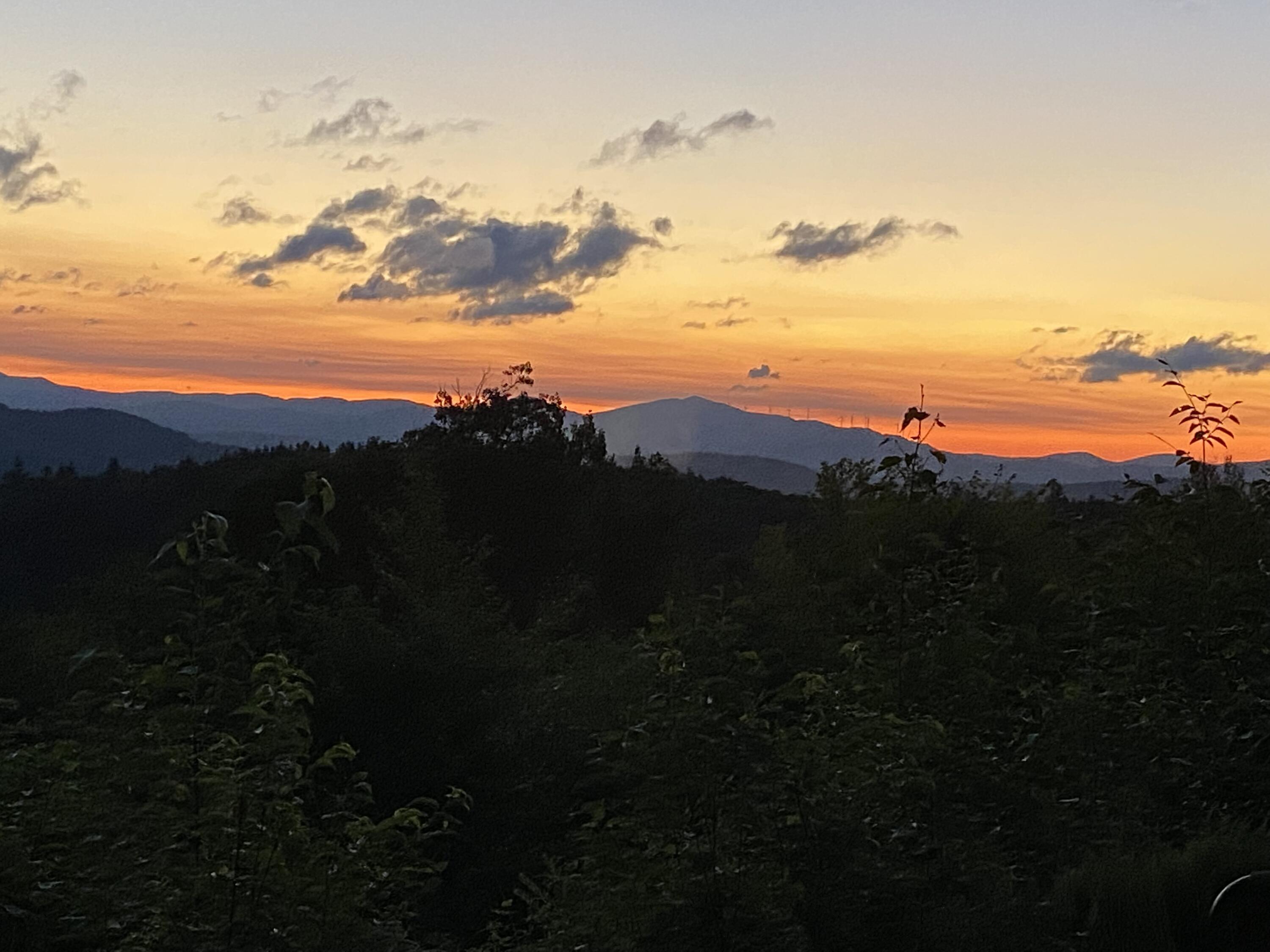 19 Hawk Lane Rumford, ME 04276 - Photo 9 of 27 IMG_3215