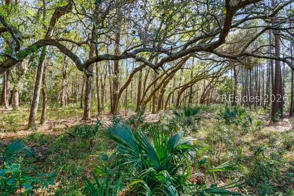 $390,000 | 1 Canters Court, Bluffton, SC 29910