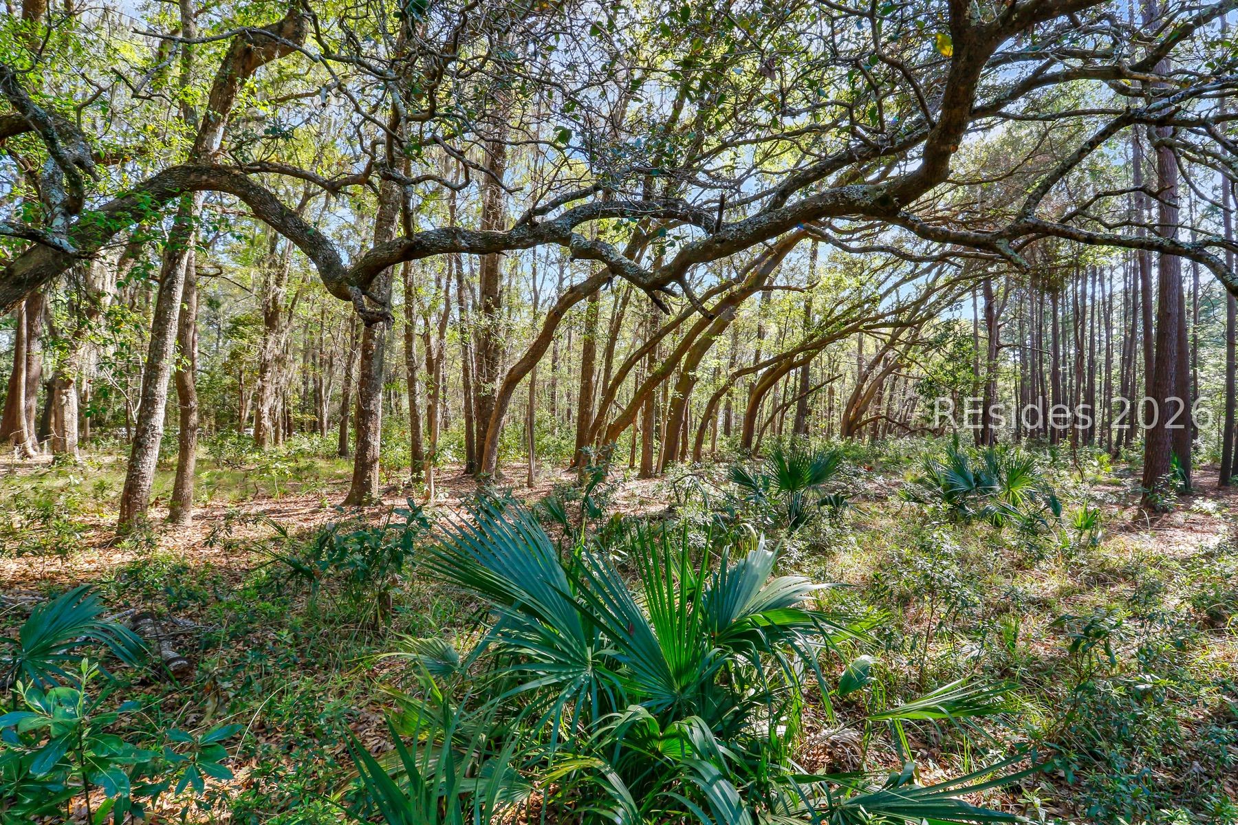 1 Canters Court Bluffton, SC 29910 - Photo 1 of 1