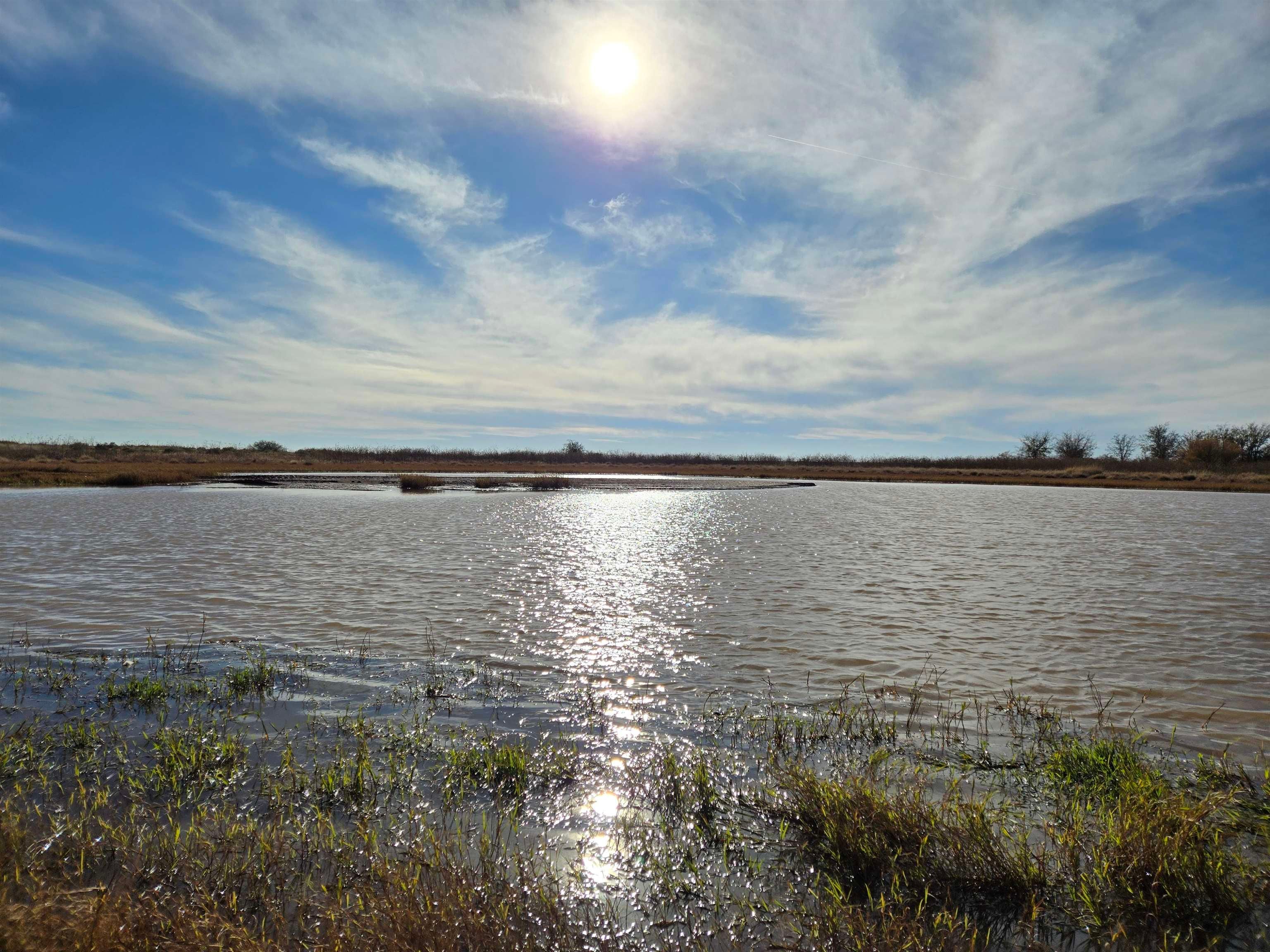 5344 Red Lake Road Taiban, NM 88134 - Photo 79 of 89 Gallery Image 79