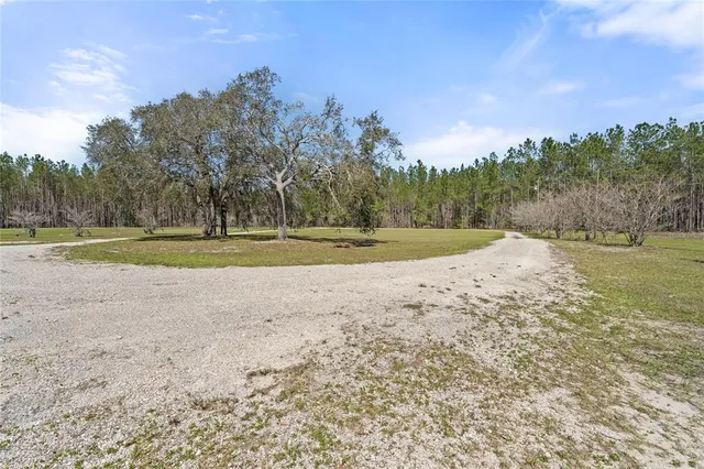 a view of a field with trees in the background