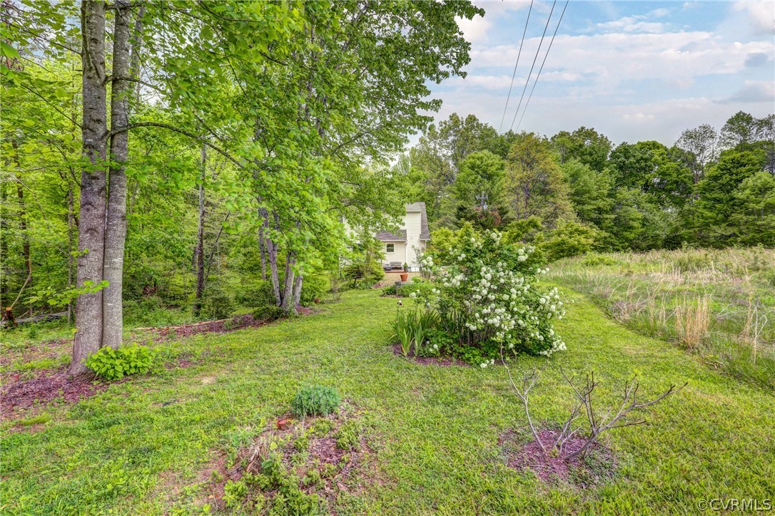 4151 Broad St Road Gum Spring, VA 23065 - Photo 35 of 38 a backyard of a house with lots of green space and garden