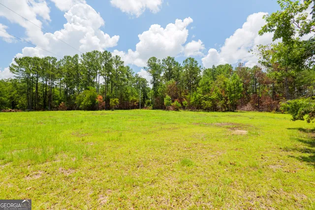 a view of a yard with a tree