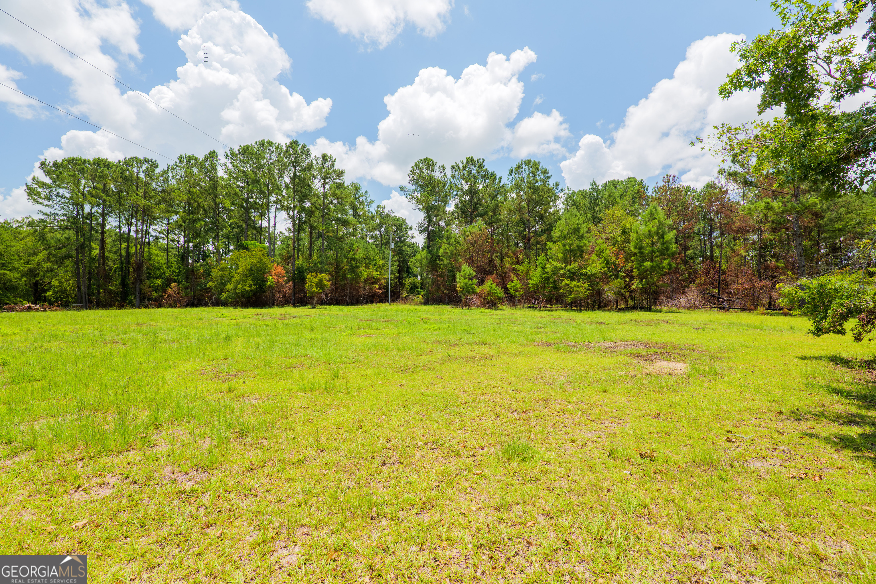 7552 Webb Road Hahira, GA 31632 - Photo 50 of 57