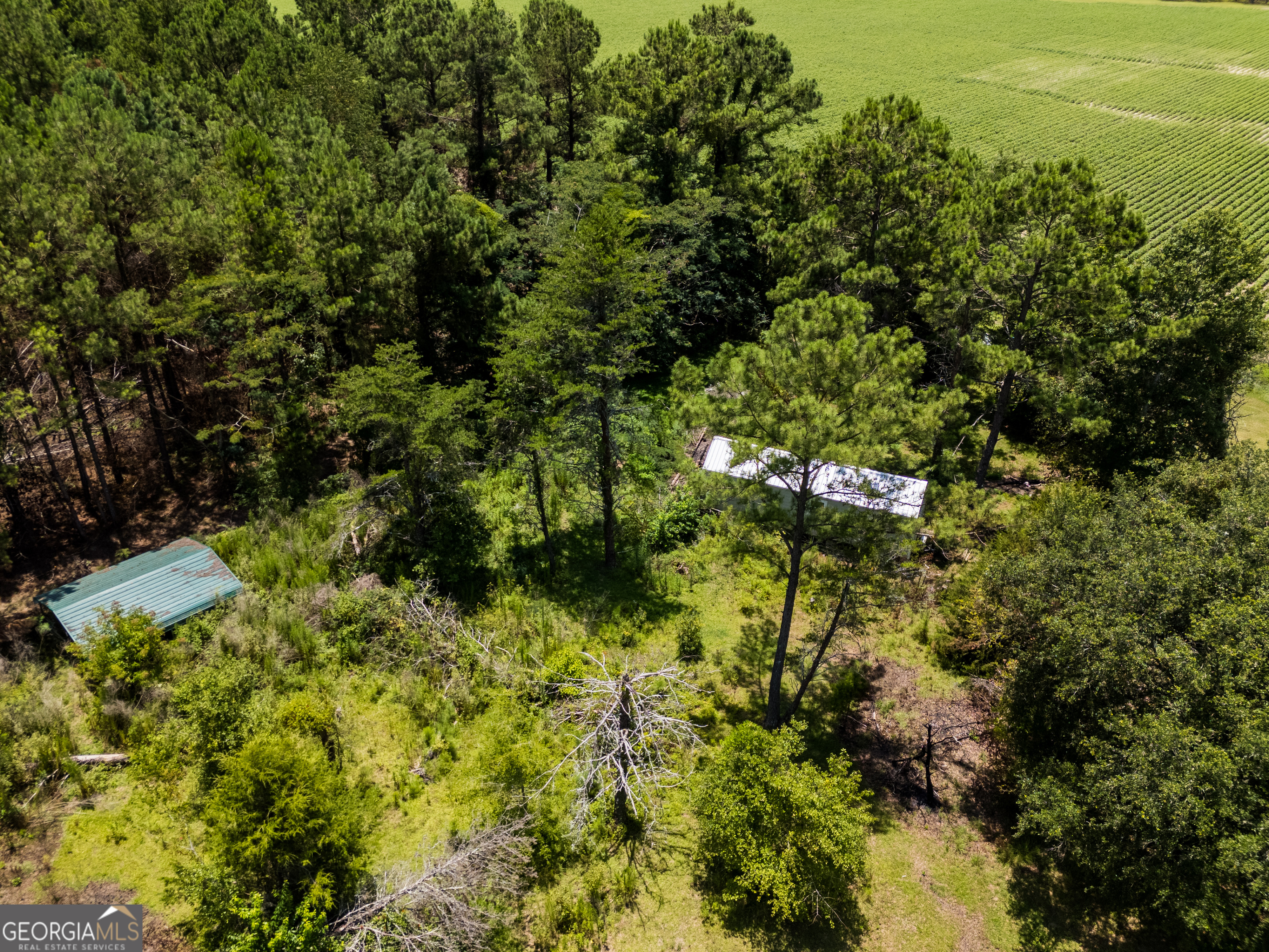 7552 Webb Road Hahira, GA 31632 - Photo 57 of 57 a view of a yard with a tree