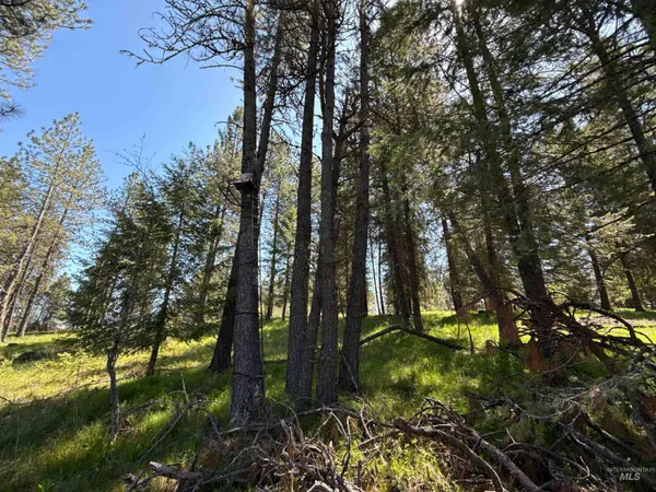 $799,900 | 1254 Stuart Road, Orofino, ID 83544