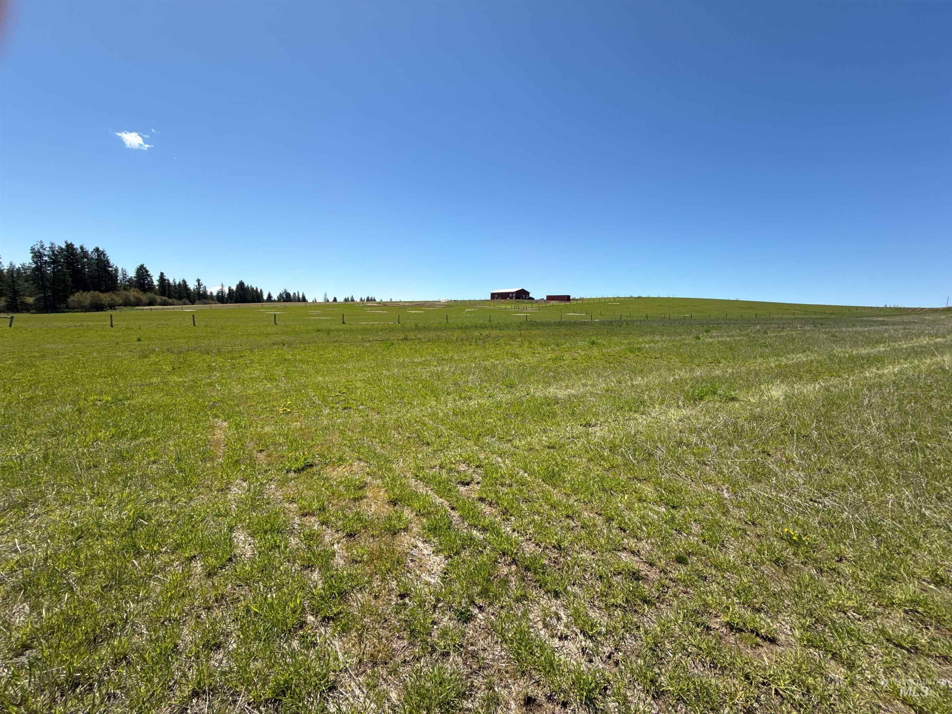 1254 Stuart Road Orofino, ID 83544 - Photo 38 of 48 Expansive green acreage with distant structures on a rolling hillside under a clear sky