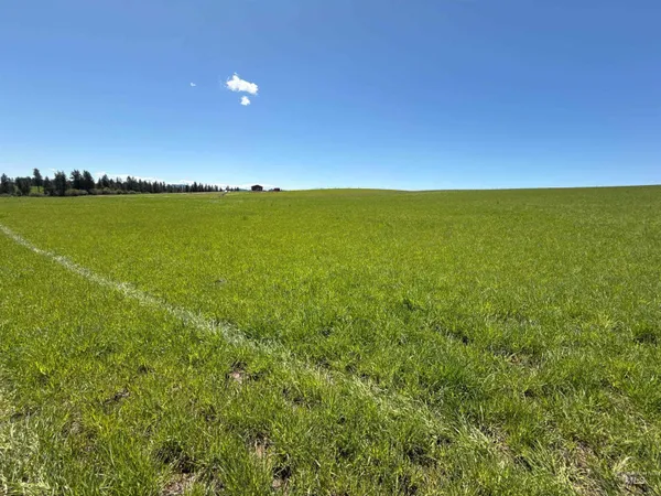 $799,900 | 1254 Stuart Road, Orofino, ID 83544