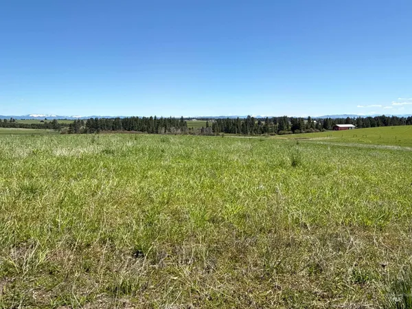 $799,900 | 1254 Stuart Road, Orofino, ID 83544