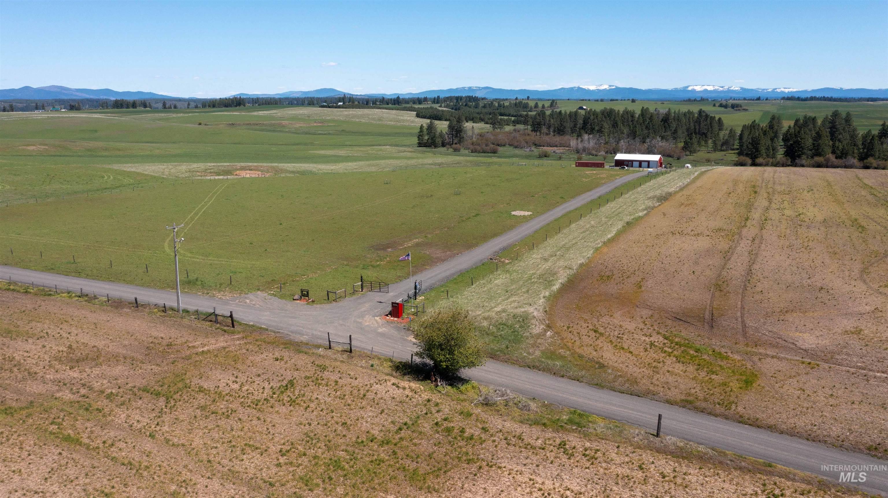 1254 Stuart Road Orofino, ID 83544 - Photo 41 of 48 Expansive rural property featuring a red and white outbuilding, a long gravel driveway, and surrounding green and brown fields