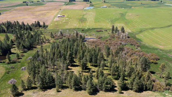$799,900 | 1254 Stuart Road, Orofino, ID 83544