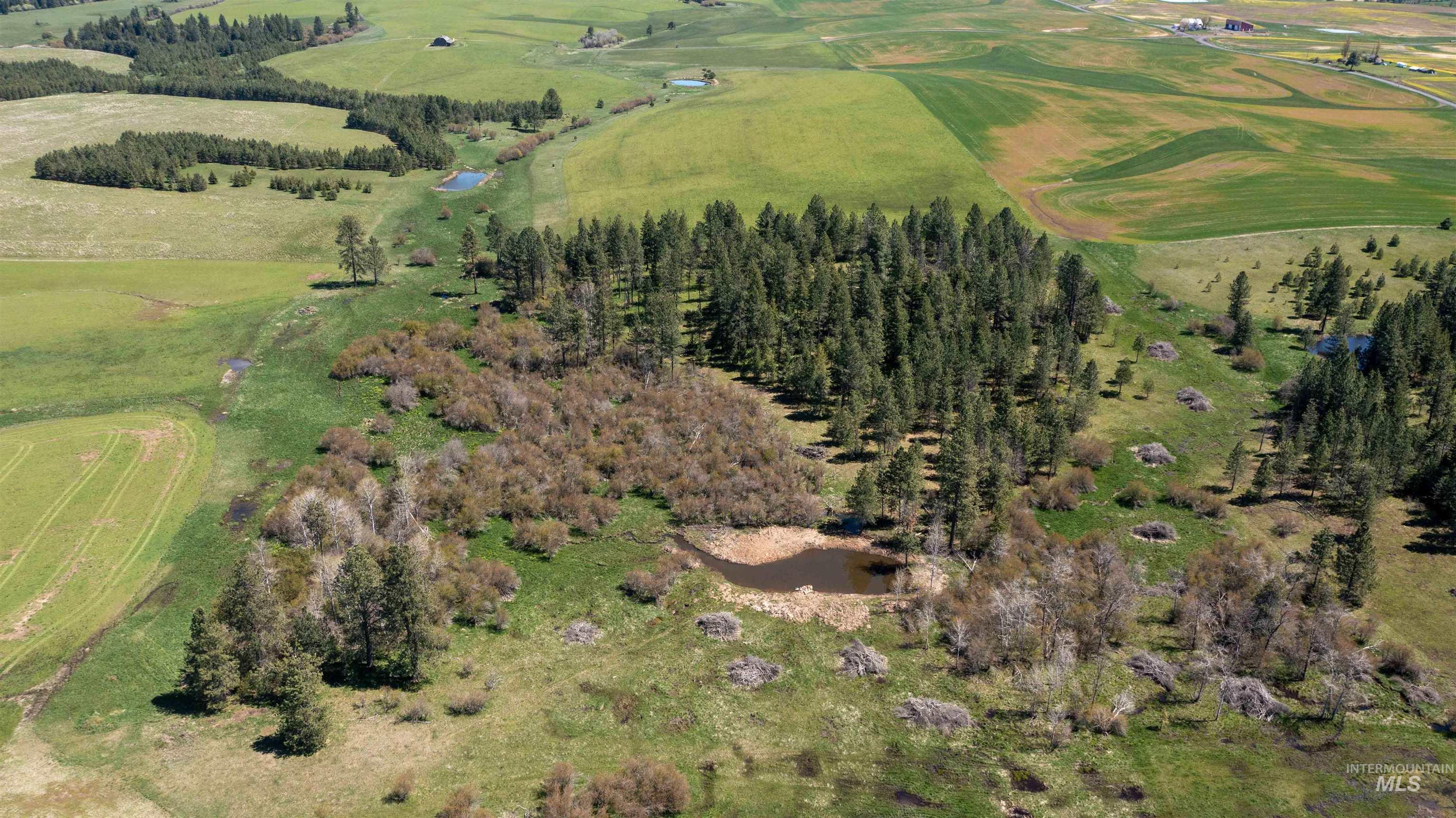 1254 Stuart Road Orofino, ID 83544 - Photo 45 of 48 Expansive natural landscape featuring varied terrain, a dense cluster of evergreen trees, and a visible pond