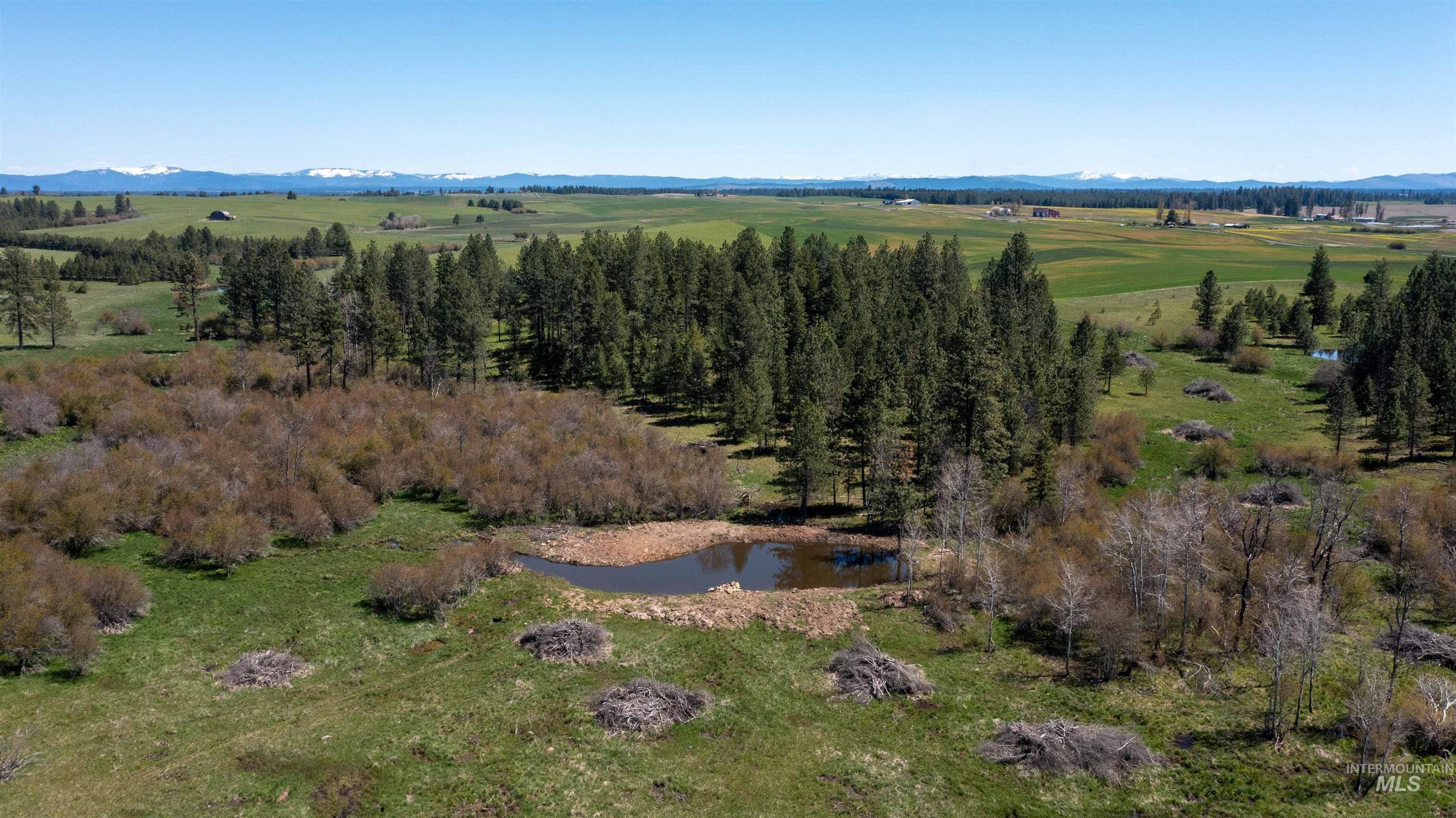 1254 Stuart Road Orofino, ID 83544 - Photo 46 of 48 Expansive land featuring a natural pond, evergreen trees, and rolling green pastures