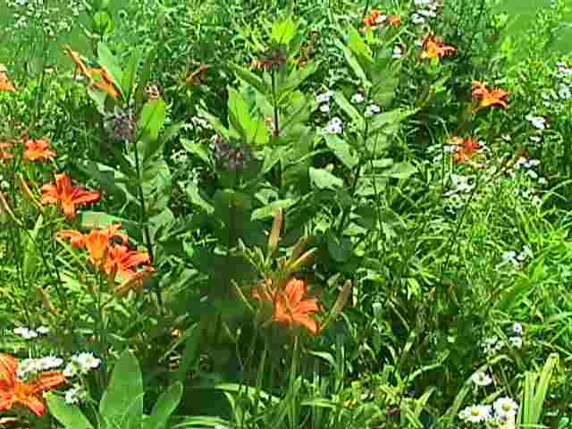 1014 Theodore Road Rotterdam, NY 12303 - Photo 9 of 11 Photo 9
