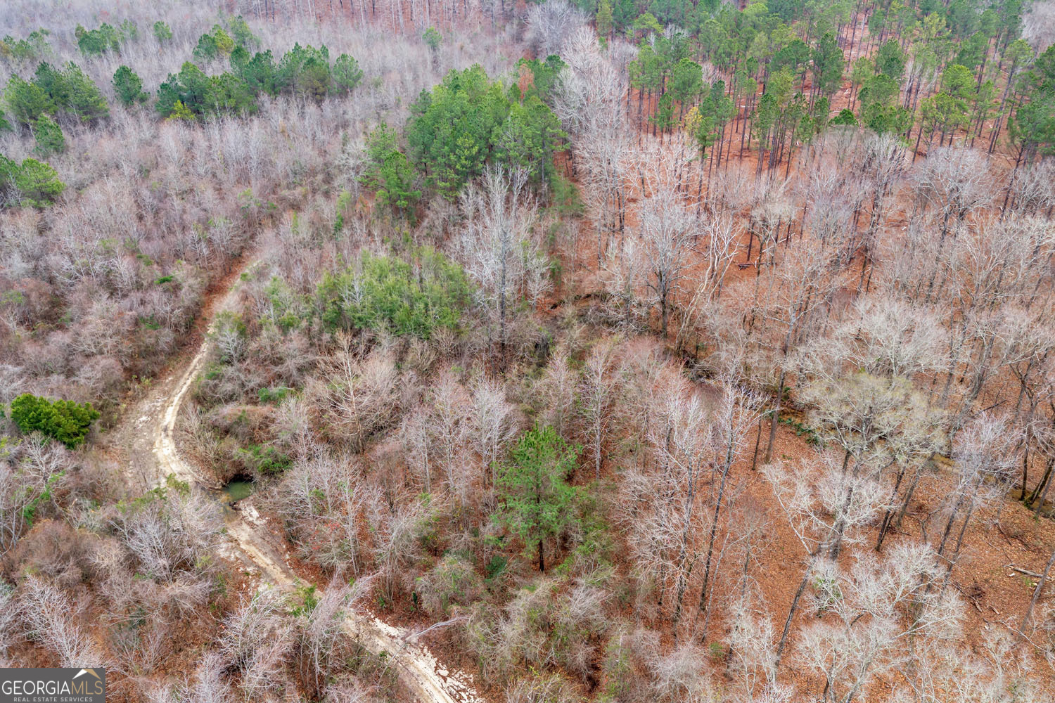 Truslow South Durham Mill Road Jeffersonville, GA 31044 - Photo 33 of 49 a view of a dry yard