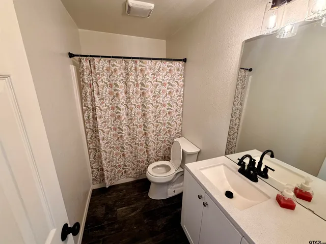 a bathroom with a sink and a toilet