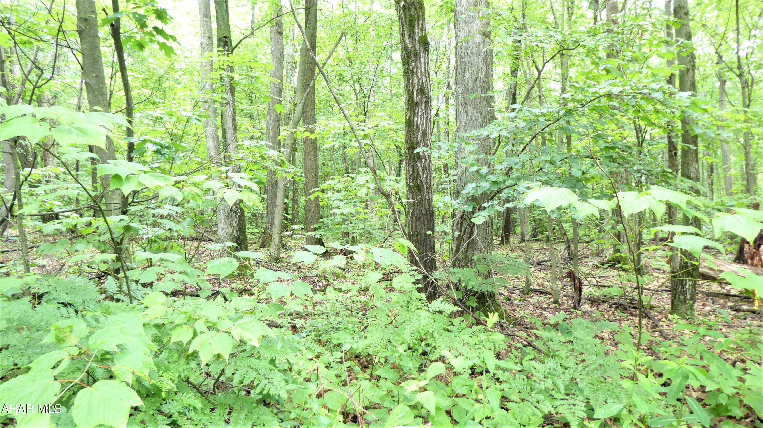 0 Ridge Run Road Claysburg, PA 16625 - Photo 14 of 24