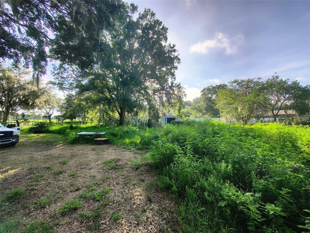 3609 Maxwell Road Plant City, FL 33566 - Photo 9 of 33 Gallery Image 9