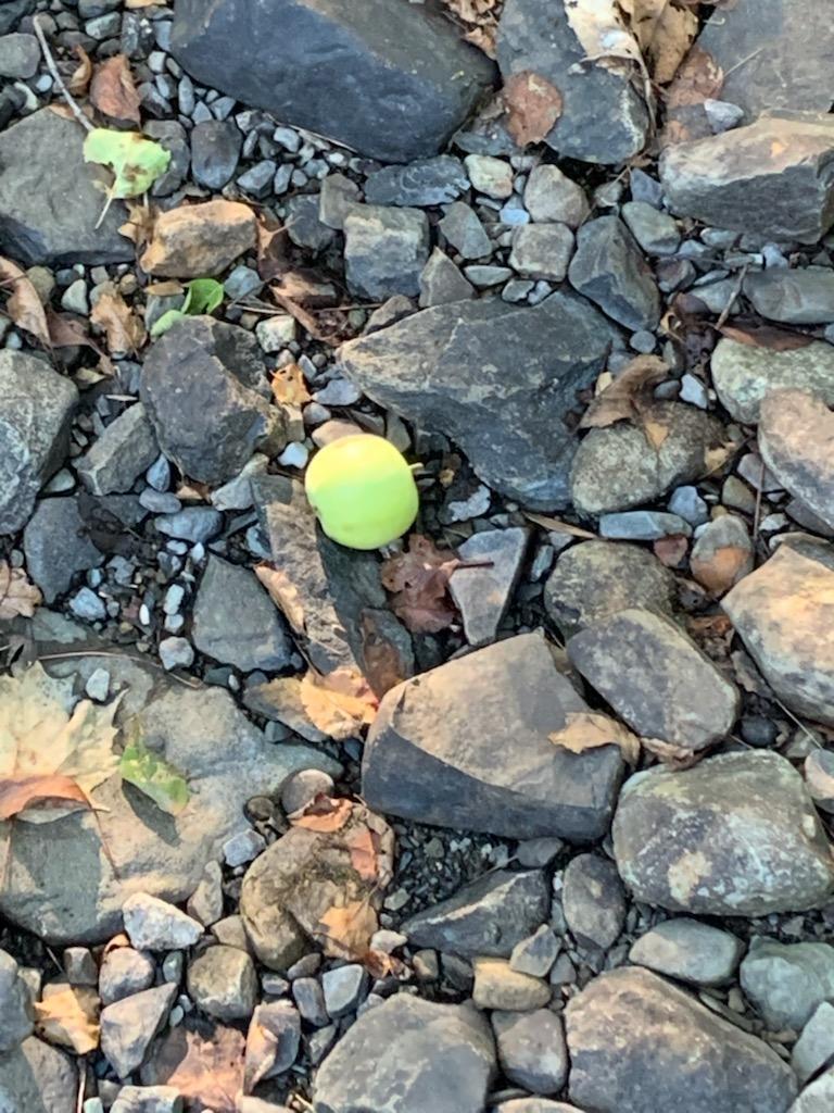 IMG951819(1)