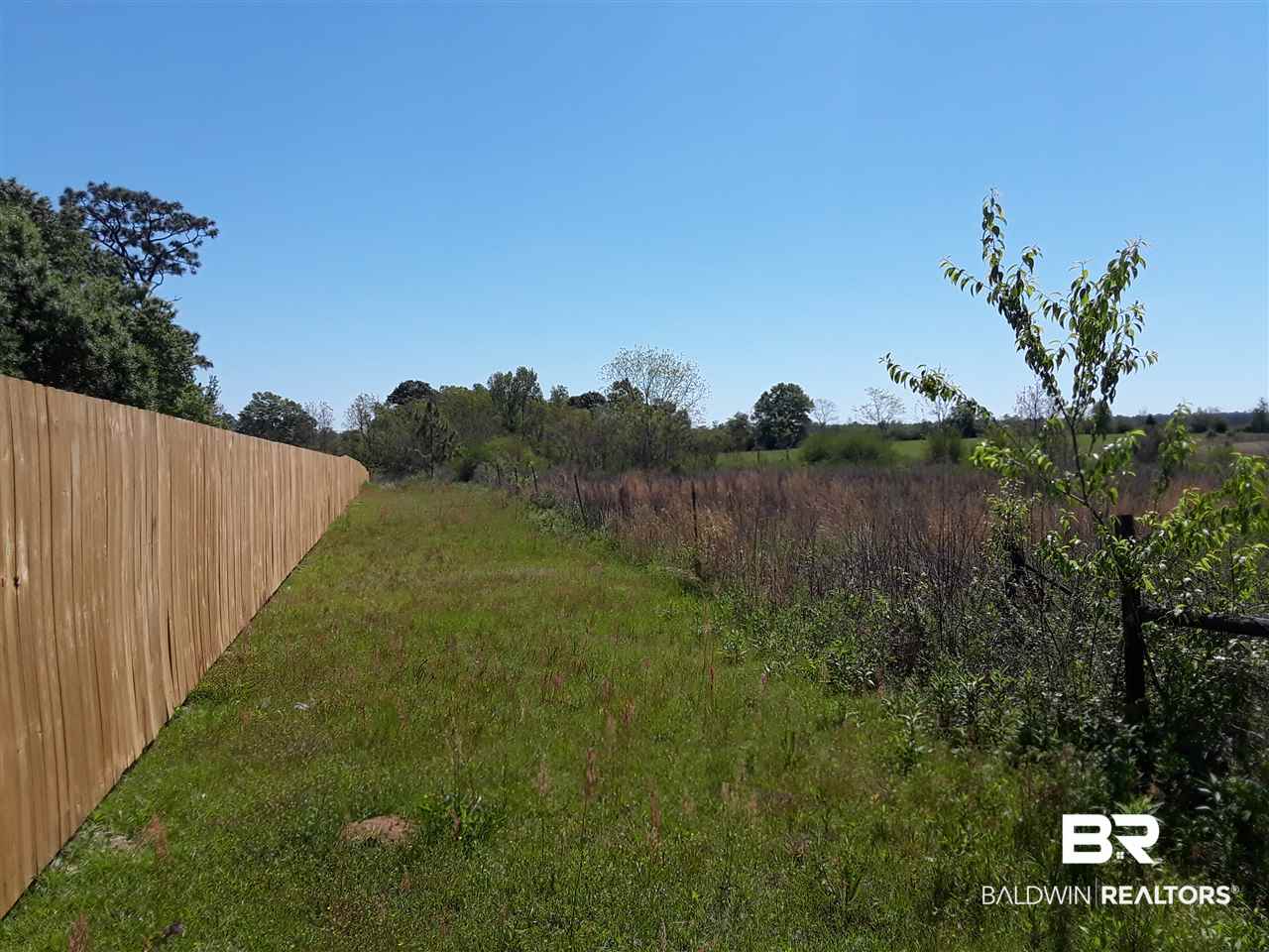 0 County Road 68 Extension Robertsdale, AL 36567 - Photo 4 of 9