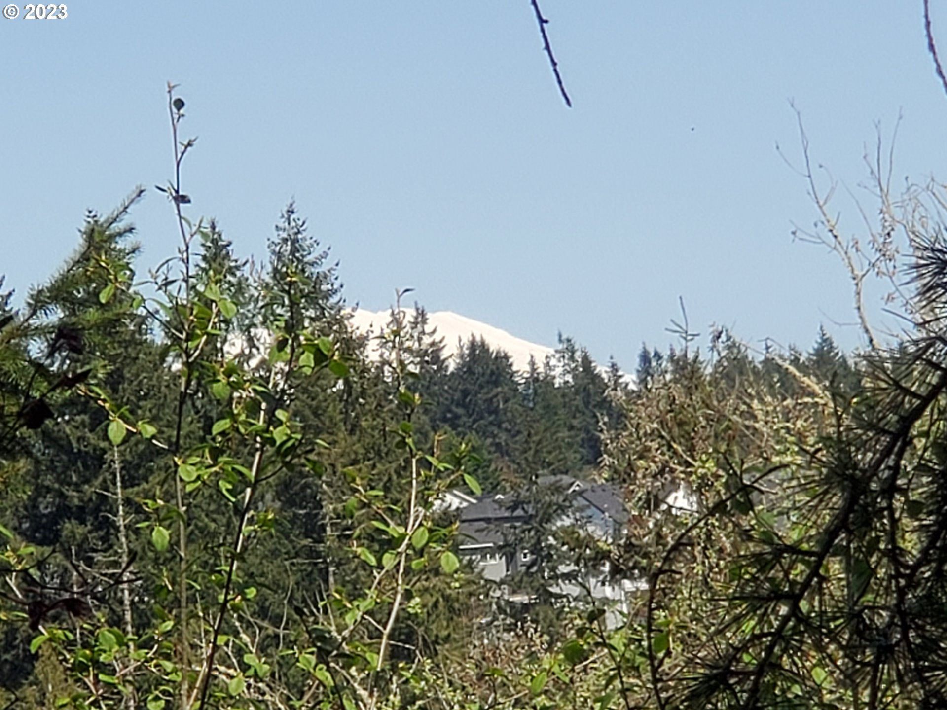 280 South 15th Court Ridgefield, WA 98642 - Photo 20 of 44 a view of a city