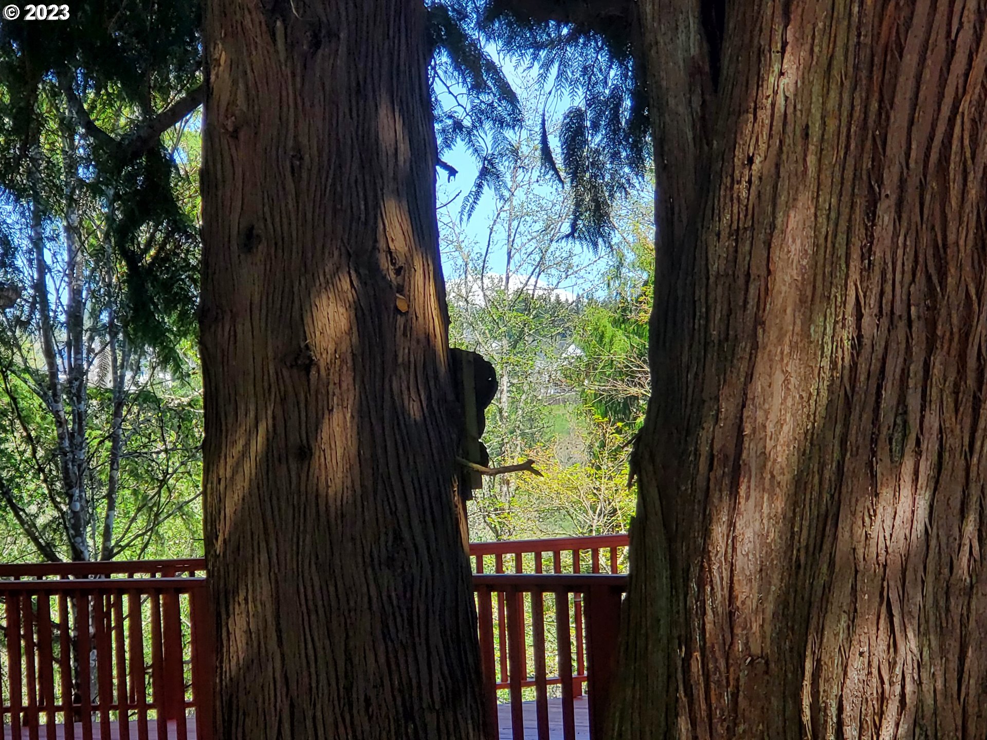 280 South 15th Court Ridgefield, WA 98642 - Photo 28 of 44