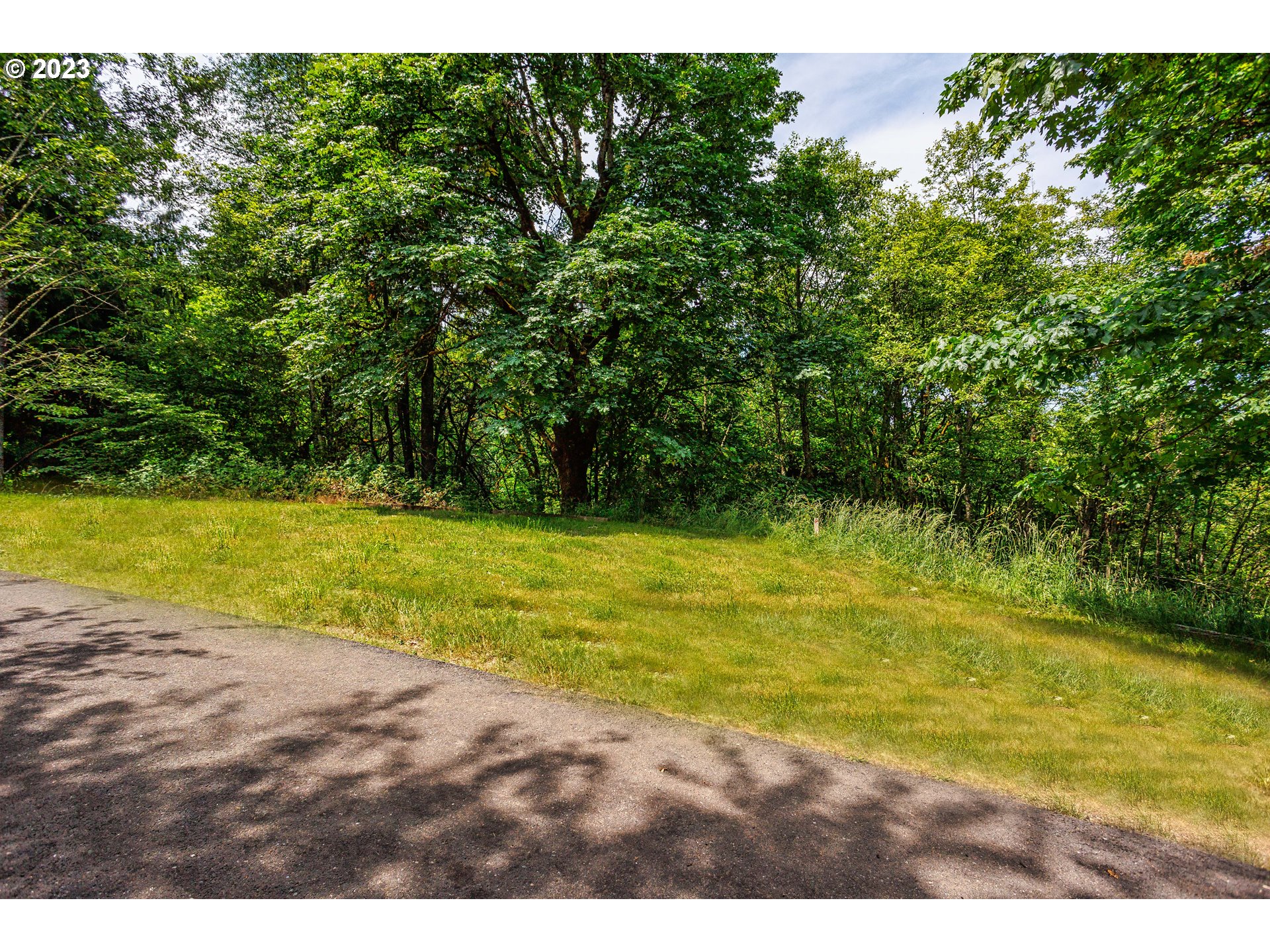 280 South 15th Court Ridgefield, WA 98642 - Photo 32 of 44 a view of an swimming pool and a yard