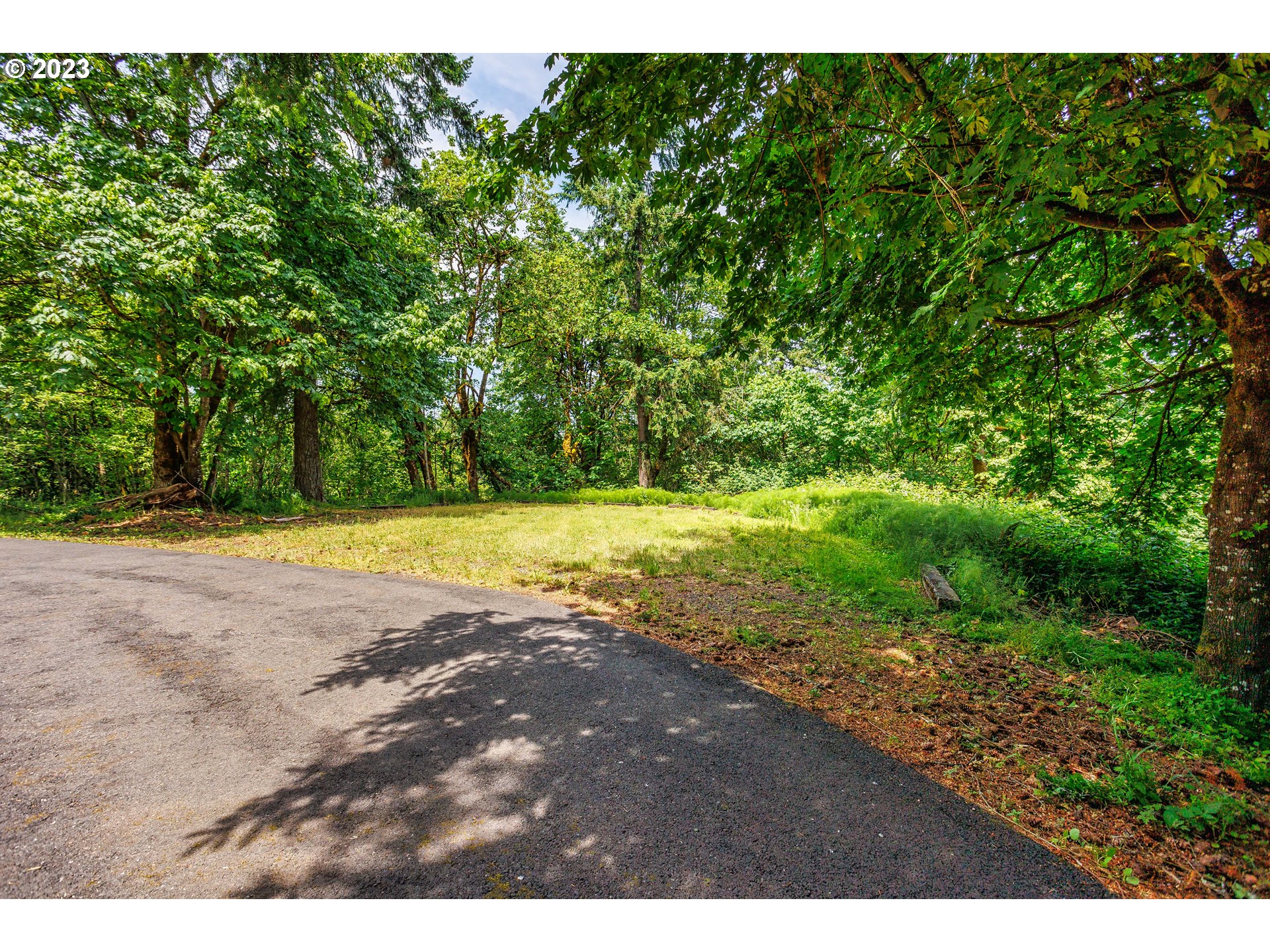 280 South 15th Court Ridgefield, WA 98642 - Photo 33 of 44 a view of outdoor space with swimming pool and green space