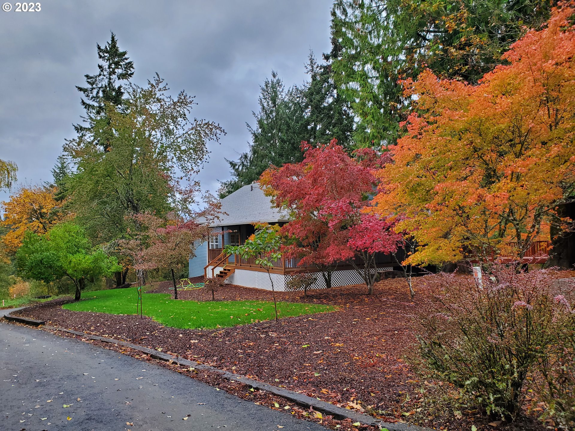280 South 15th Court Ridgefield, WA 98642 - Photo 4 of 44 a view of a yard with a house