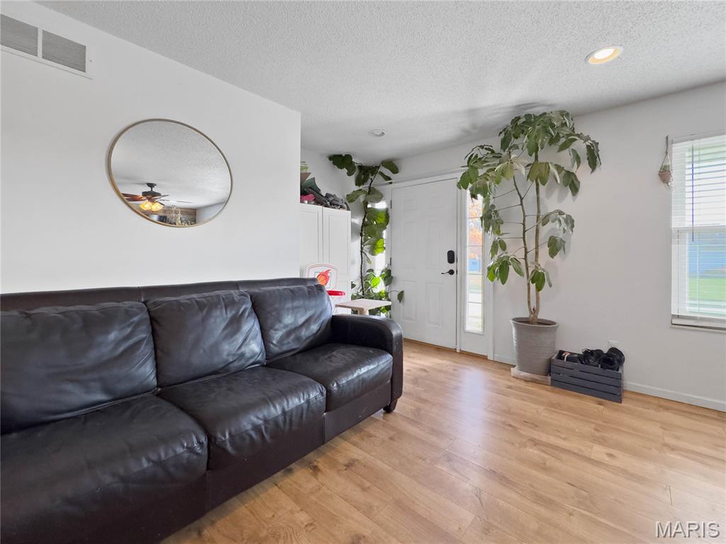 109 North Meyer Avenue Valmeyer, IL 62295 - Photo 12 of 48