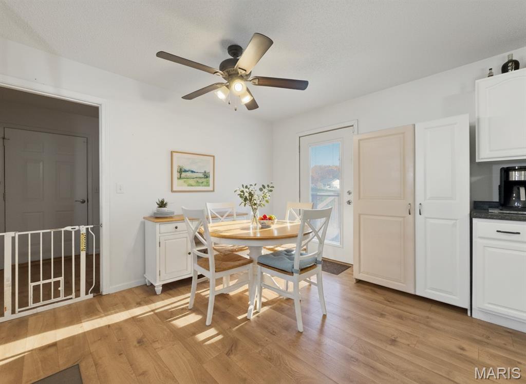 109 North Meyer Avenue Valmeyer, IL 62295 - Photo 14 of 48